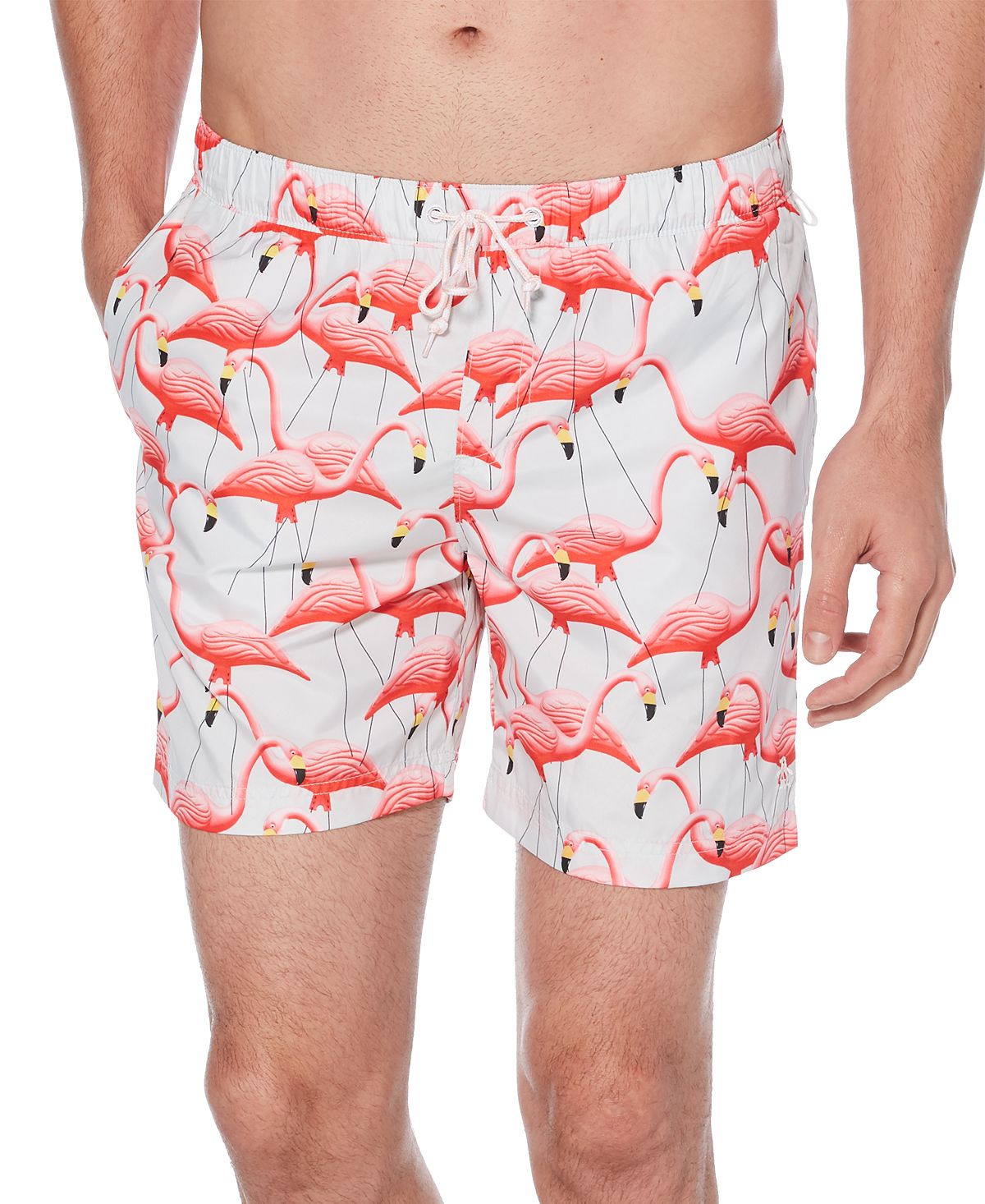 Men's Swim Trunks, Original Penguin