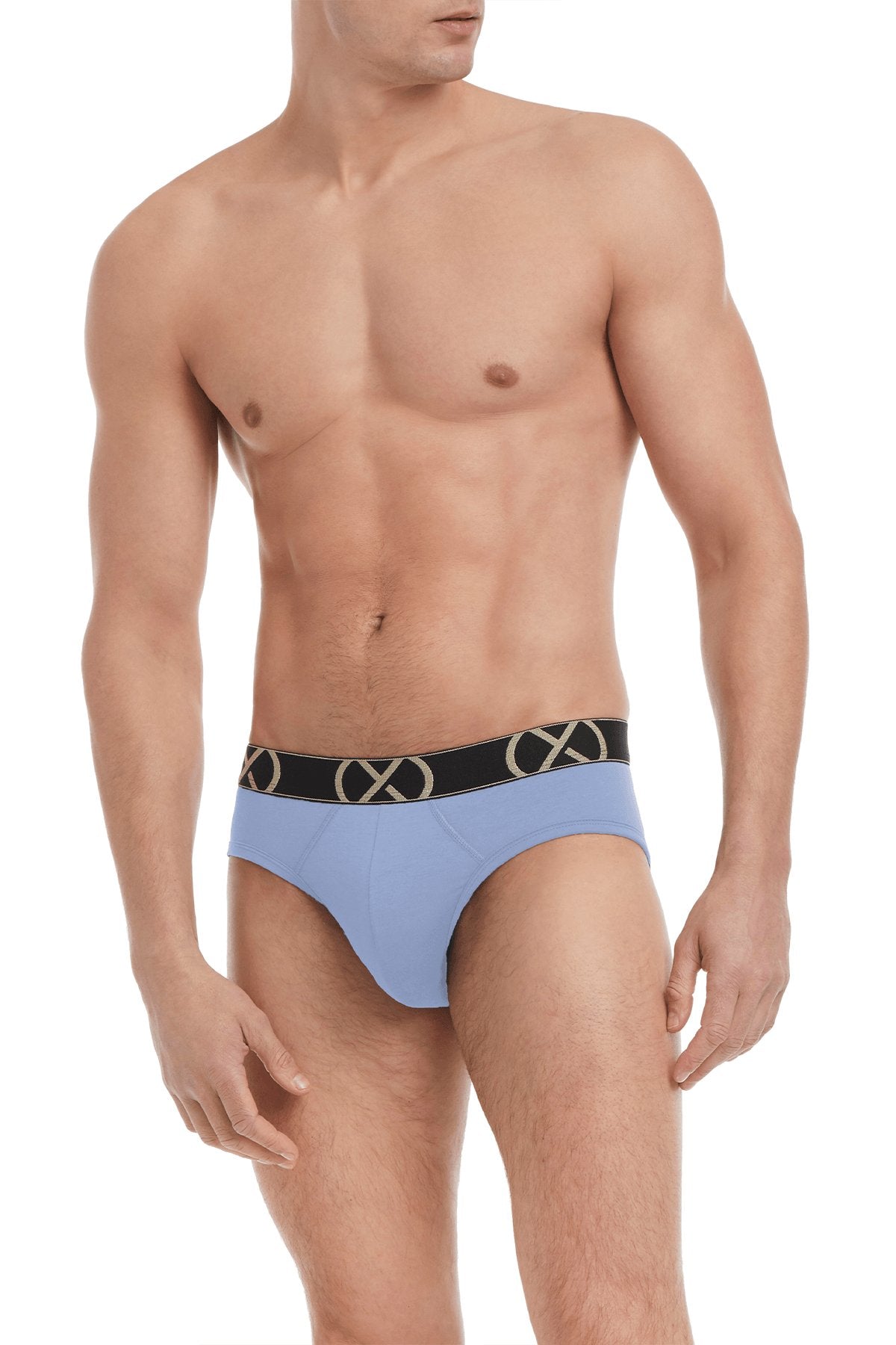 2(X)Ist (X)Luxe  No Show Brief Lt Blue