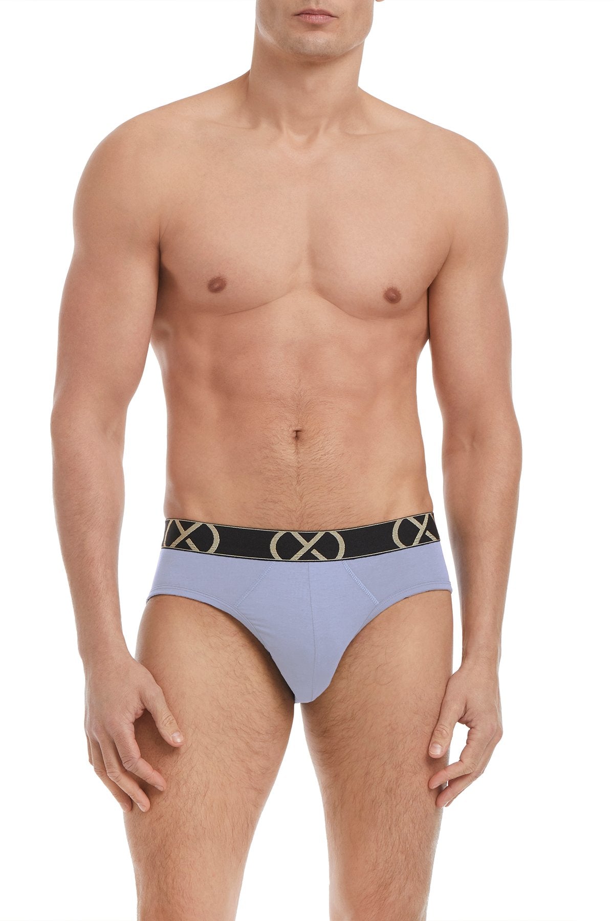 2(X)Ist (X)Luxe  No Show Brief Lt Blue