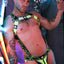 Breedwell Neon Yellow akira Body Harness