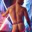 Breedwell Pink Hybred Jock