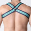 CellBlock 13 Gren Kennel Club Elastic Bandit Harness