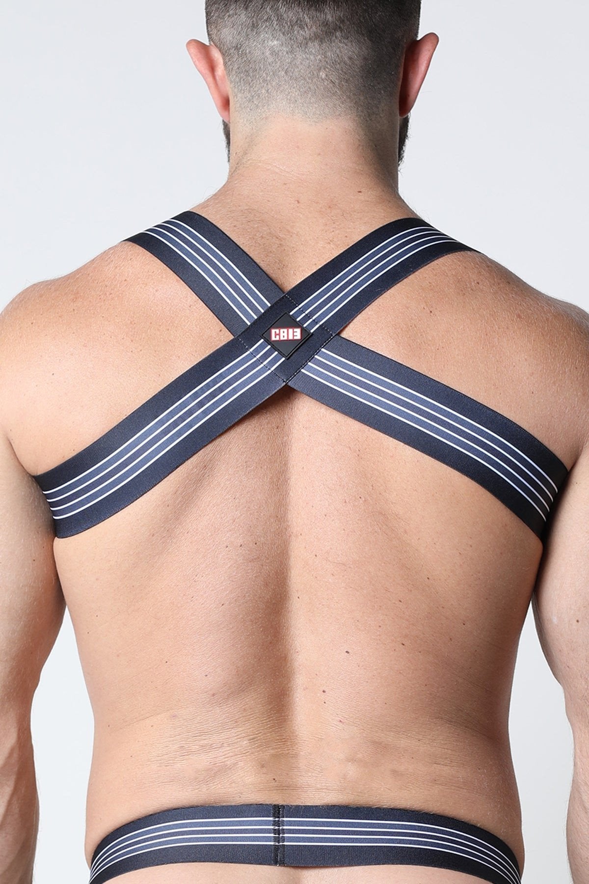 CellBlock 13 Grey Kennel Club Elastic Bandit Harness