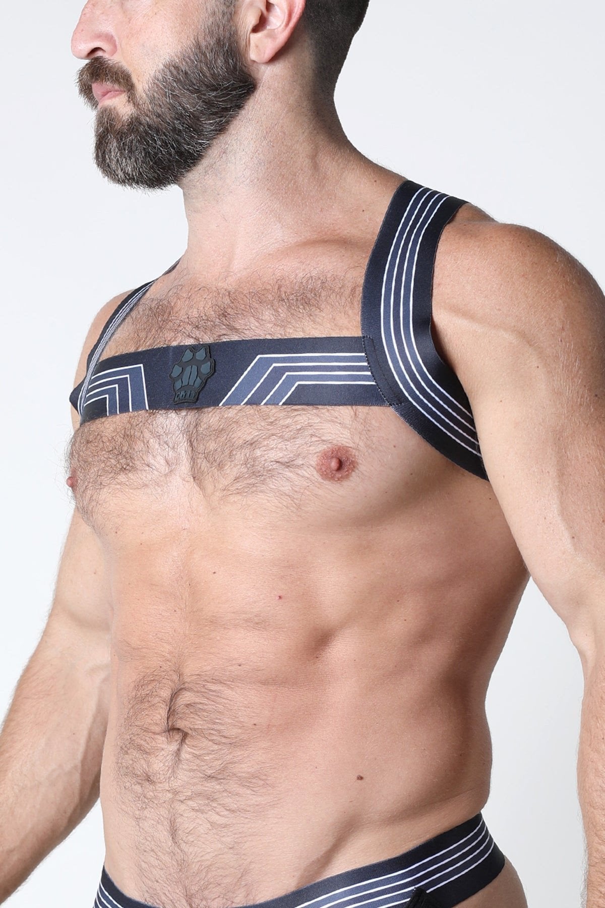 CellBlock 13 Grey Kennel Club Elastic Bandit Harness