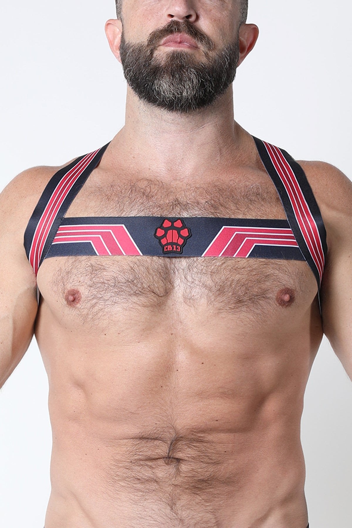 CellBlock13 Red Kennel Club Elastic Bandit Harness