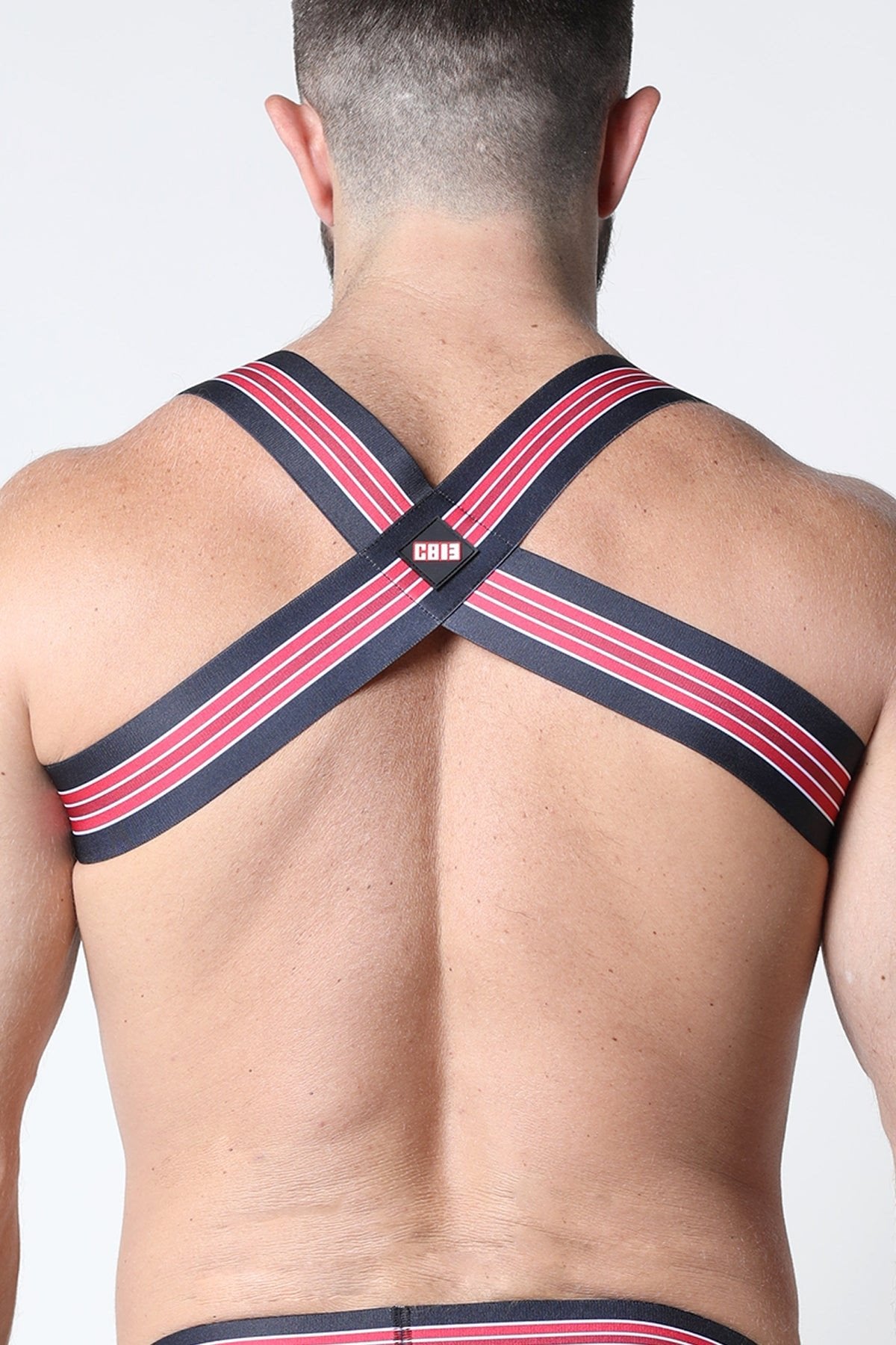 CellBlock13 Red Kennel Club Elastic Bandit Harness