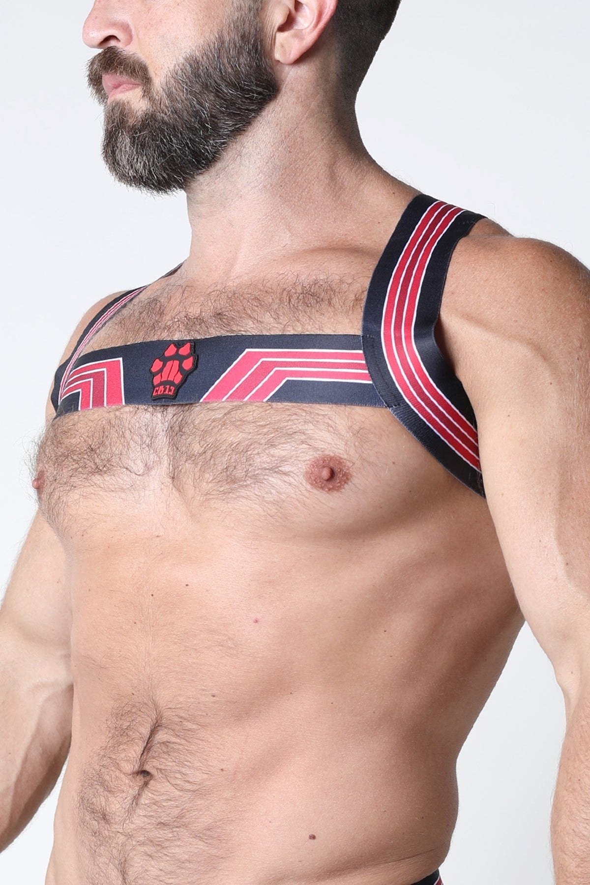 CellBlock13 Red Kennel Club Elastic Bandit Harness