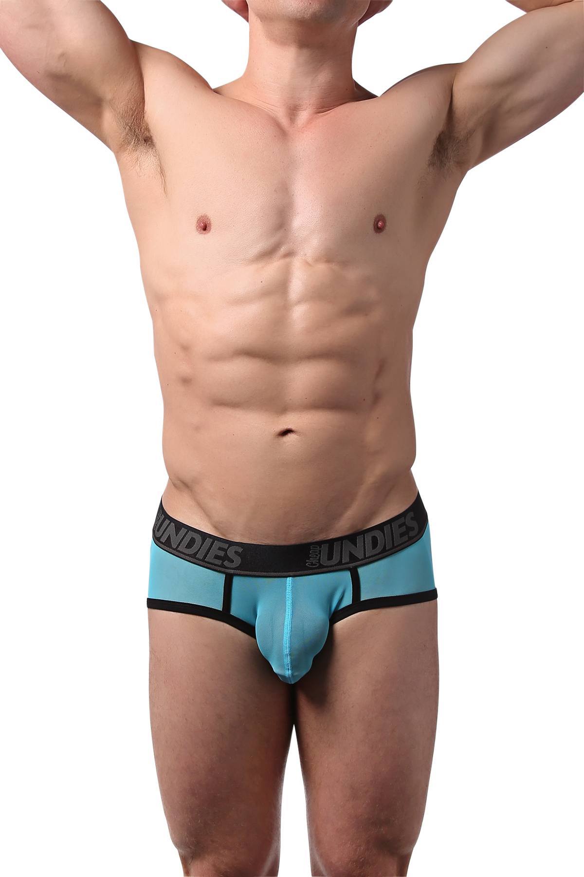 CheapUndies Blue Mesh Brief