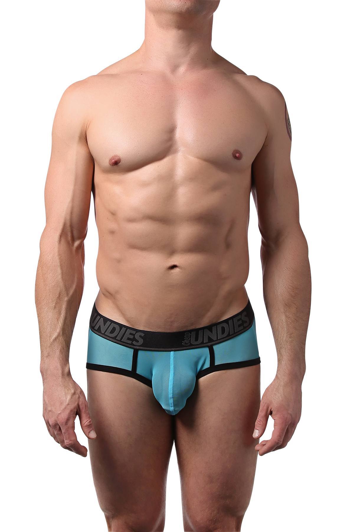 CheapUndies Blue Mesh Brief