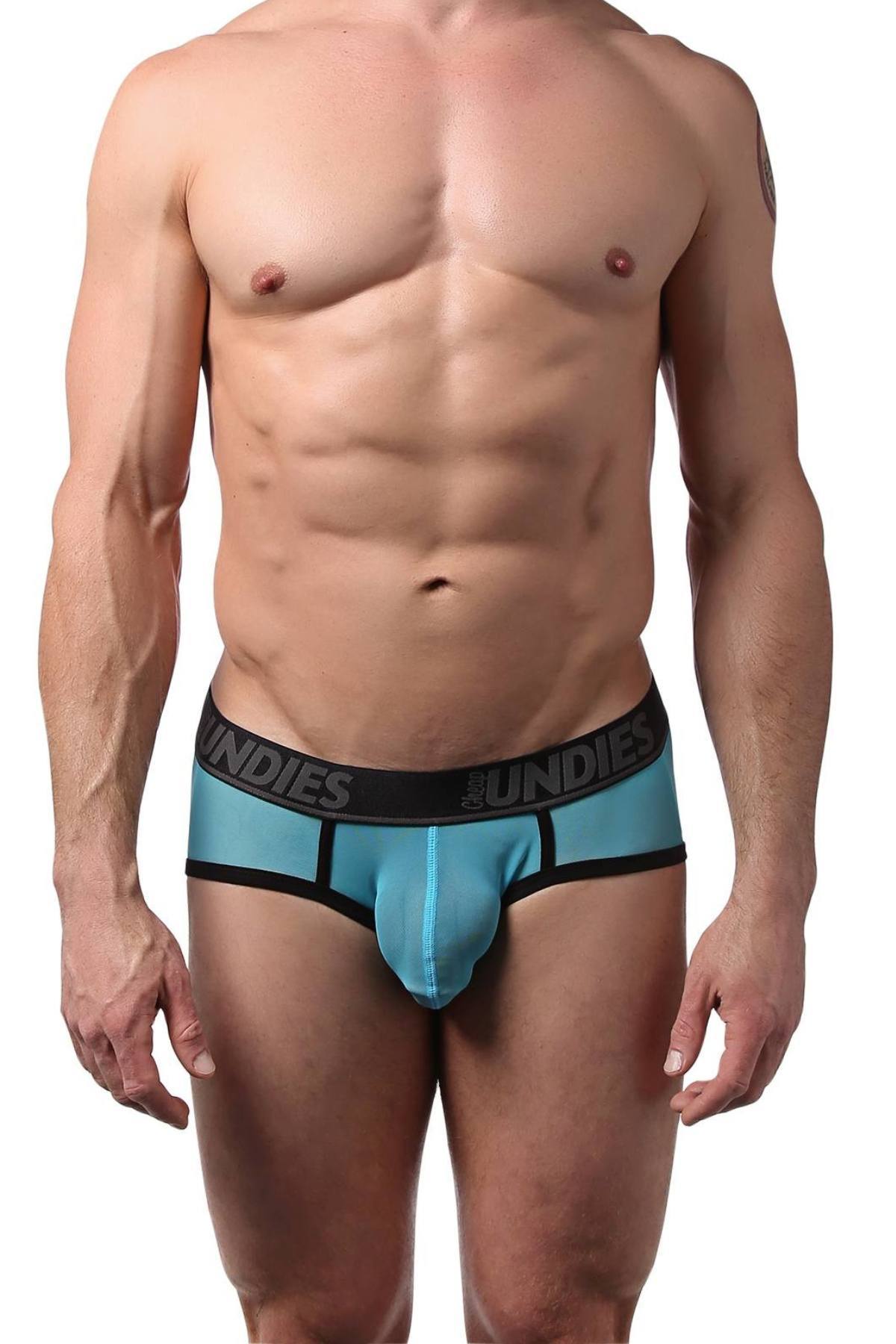 CheapUndies Blue Mesh Brief