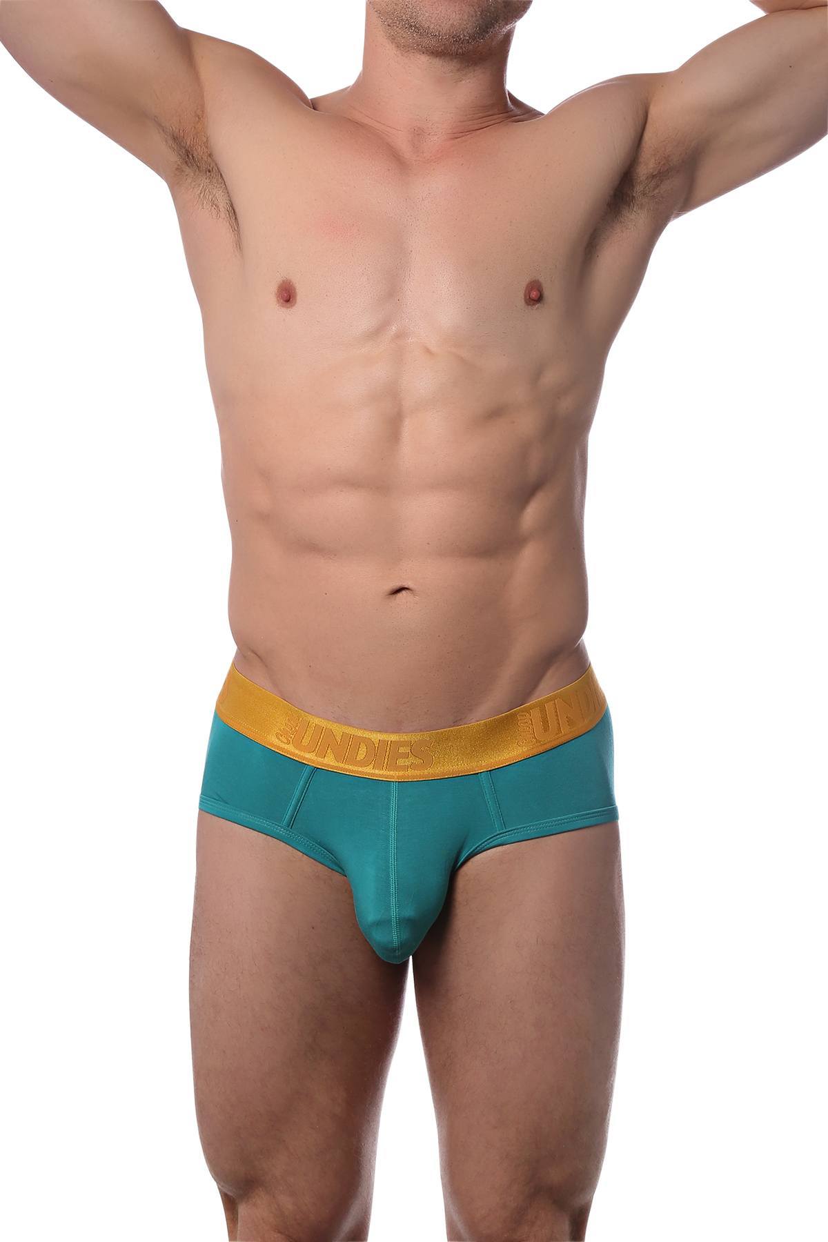 CheapUndies Lake Luxe Brief