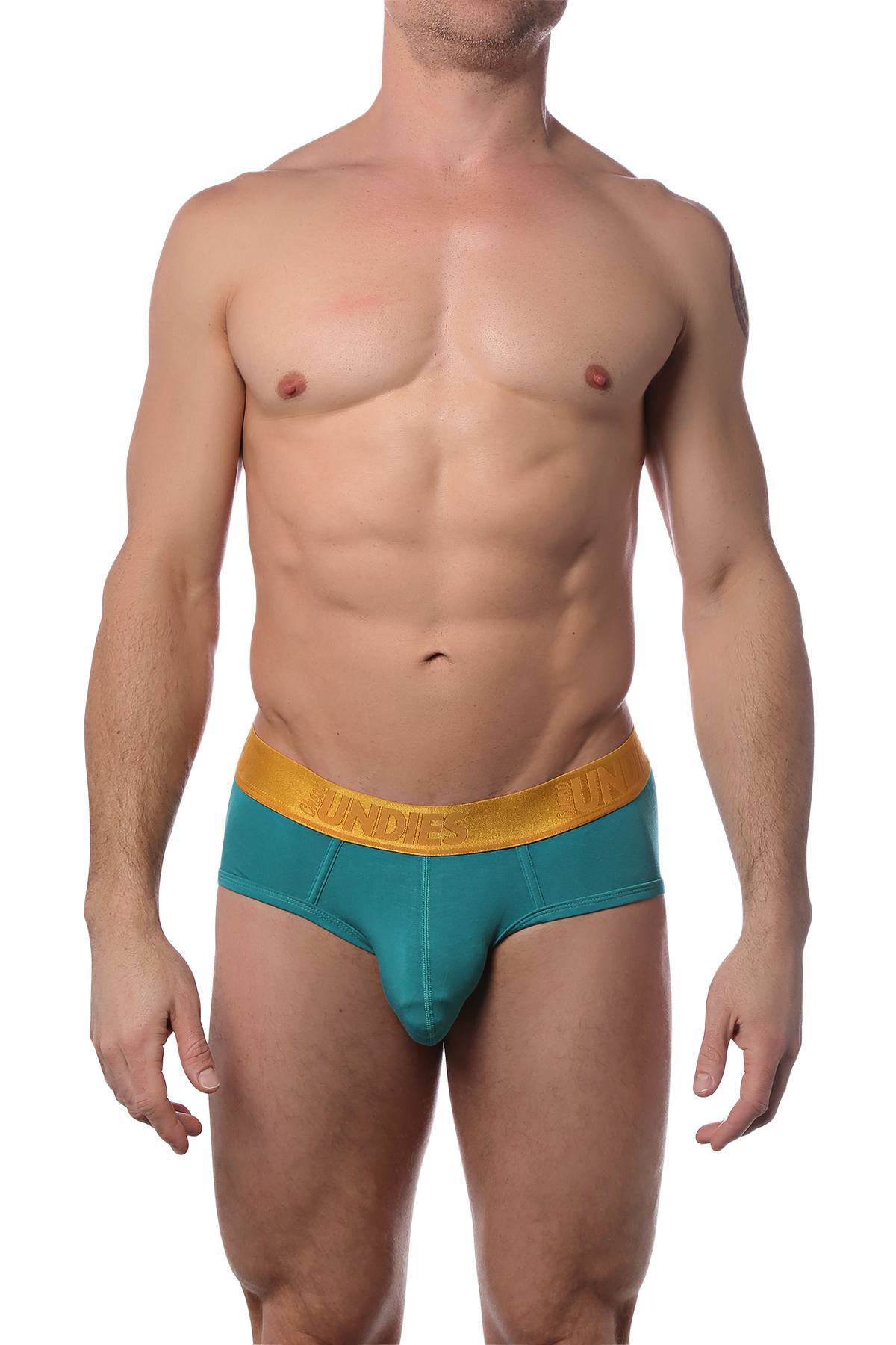 CheapUndies Lake Luxe Brief