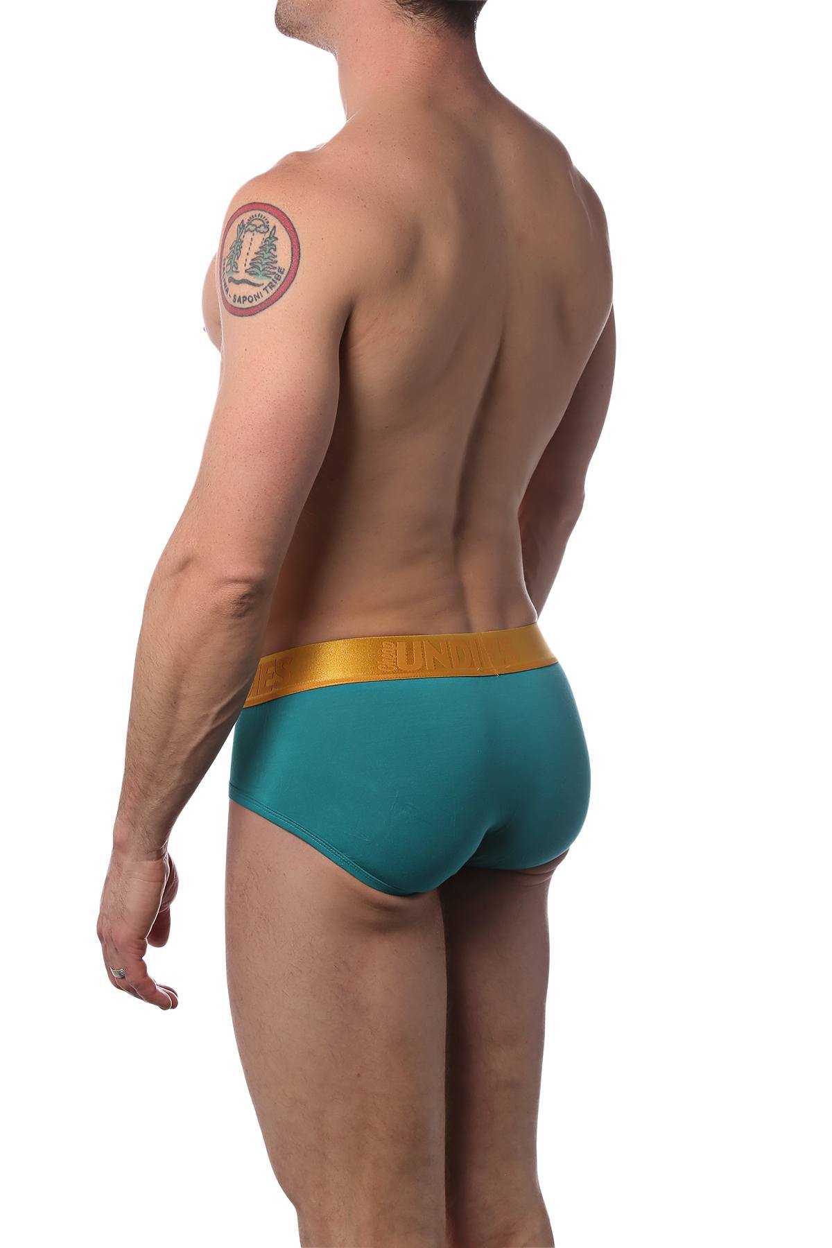 CheapUndies Lake Luxe Brief