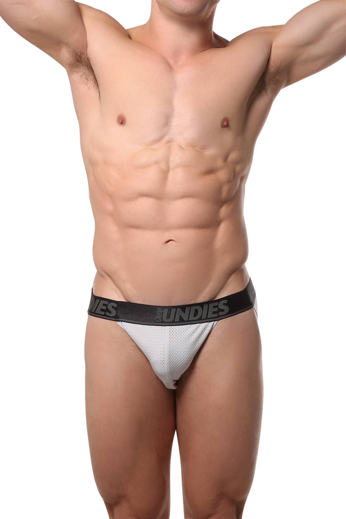 CheapUndies Light-Grey Mesh Bikini Brief