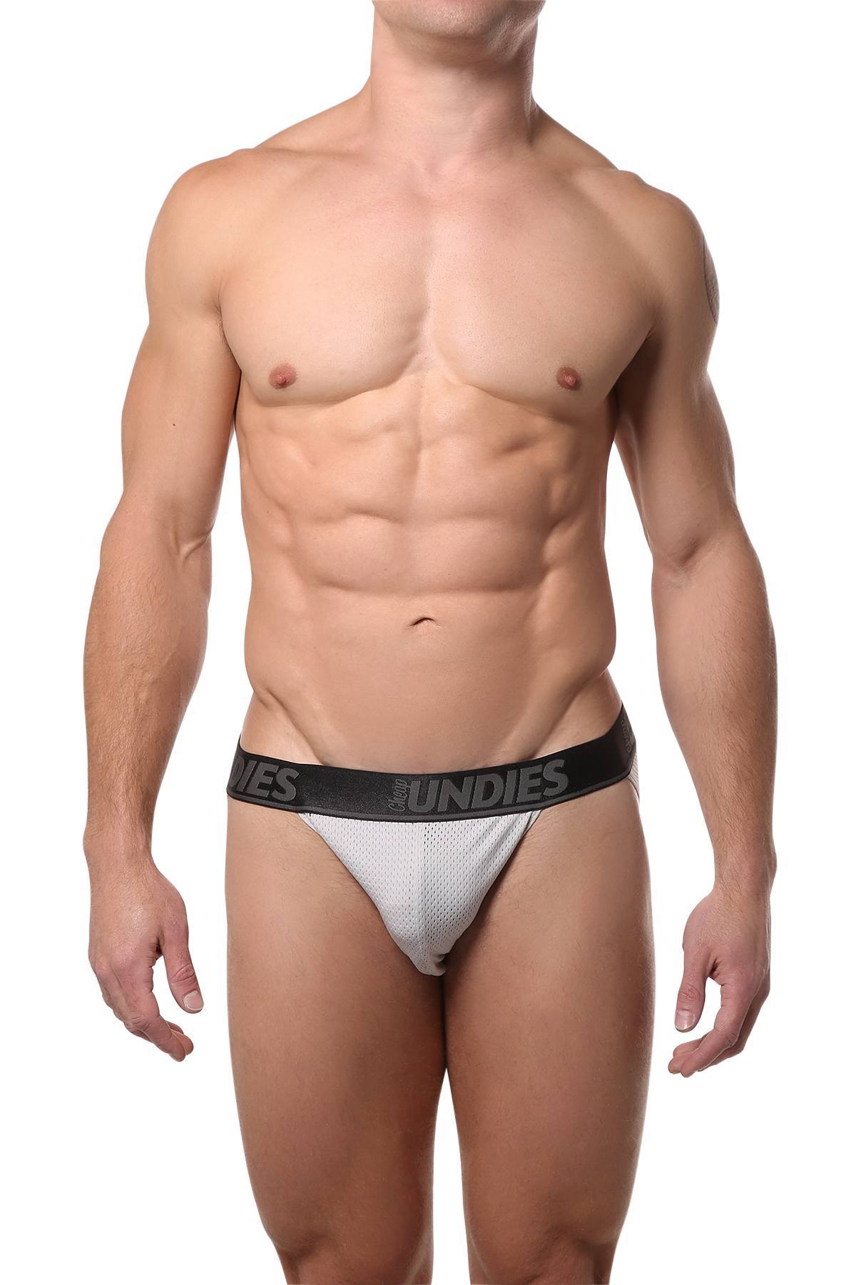 CheapUndies Light-Grey Mesh Bikini Brief