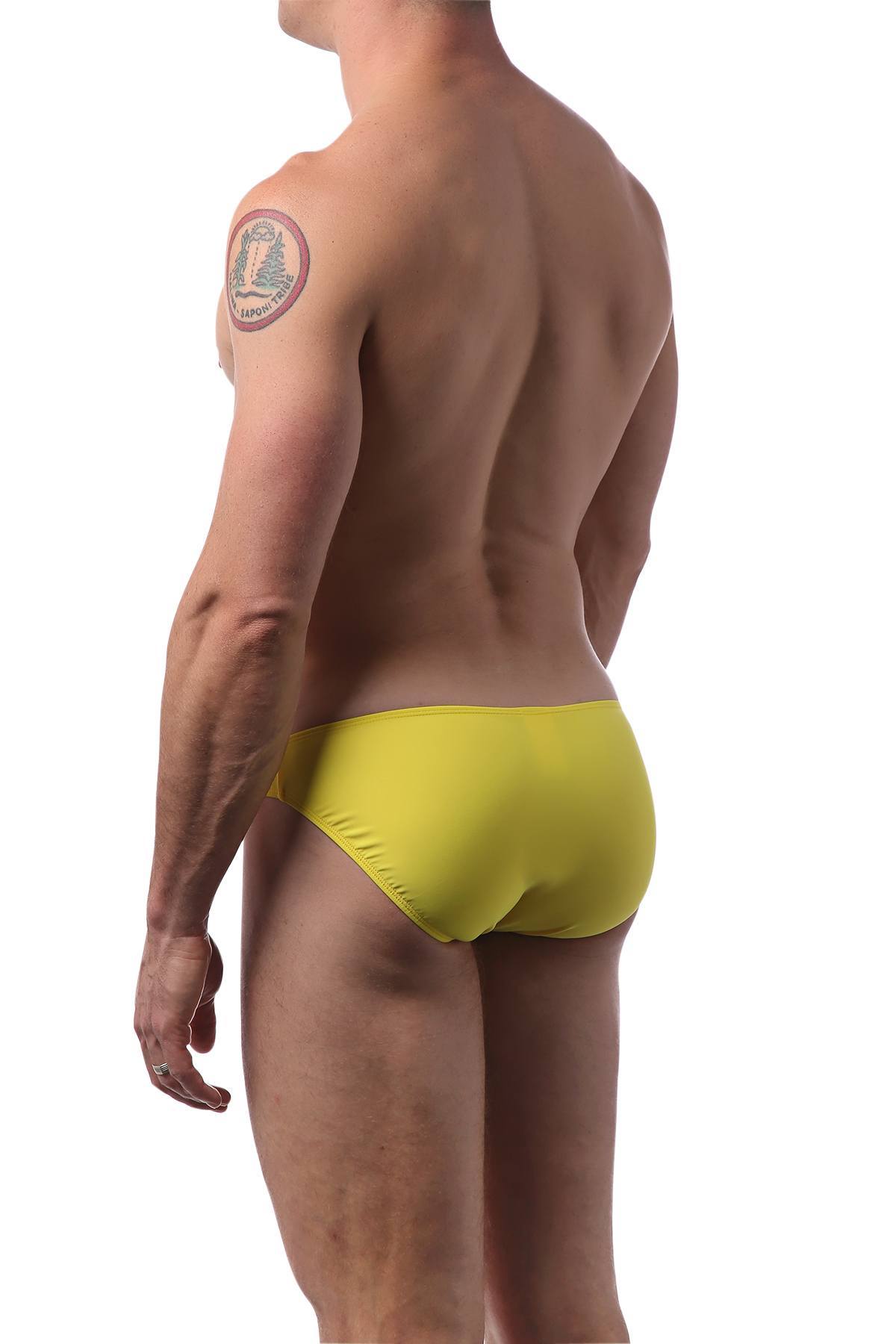 CheapUndies Sunflower Seed Bikini Brief