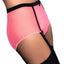 Claudette Pink Fishnet Pin-Up Panty