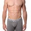 Discover Stone-Grey Silver Surf Boxer Brief