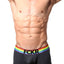 FCKR Pride Grey Trunk