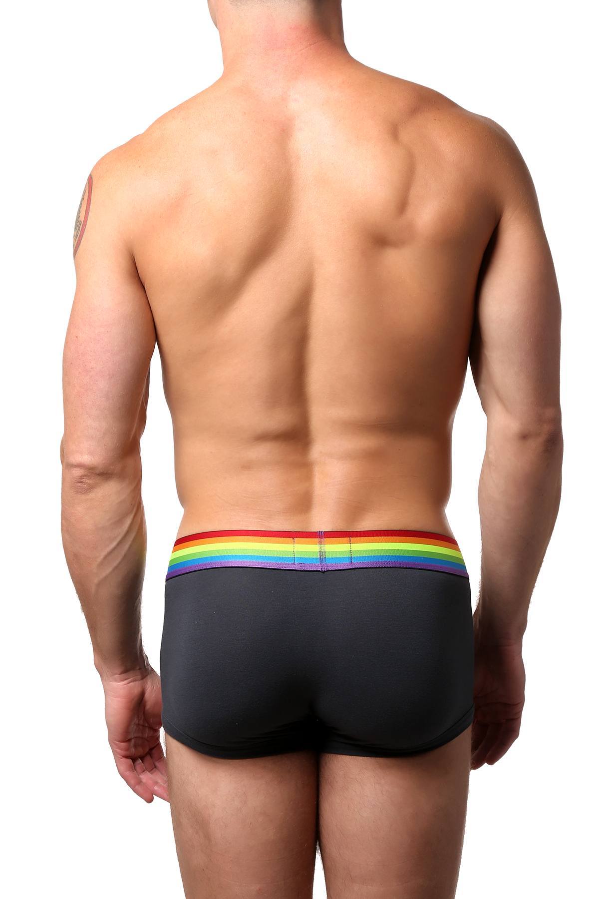 FCKR Pride Grey Trunk