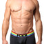 FCKR Pride Grey Trunk