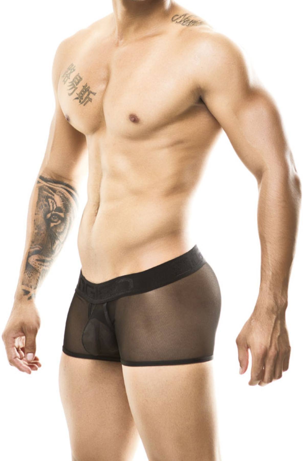 Gigo Black Booster Trunk