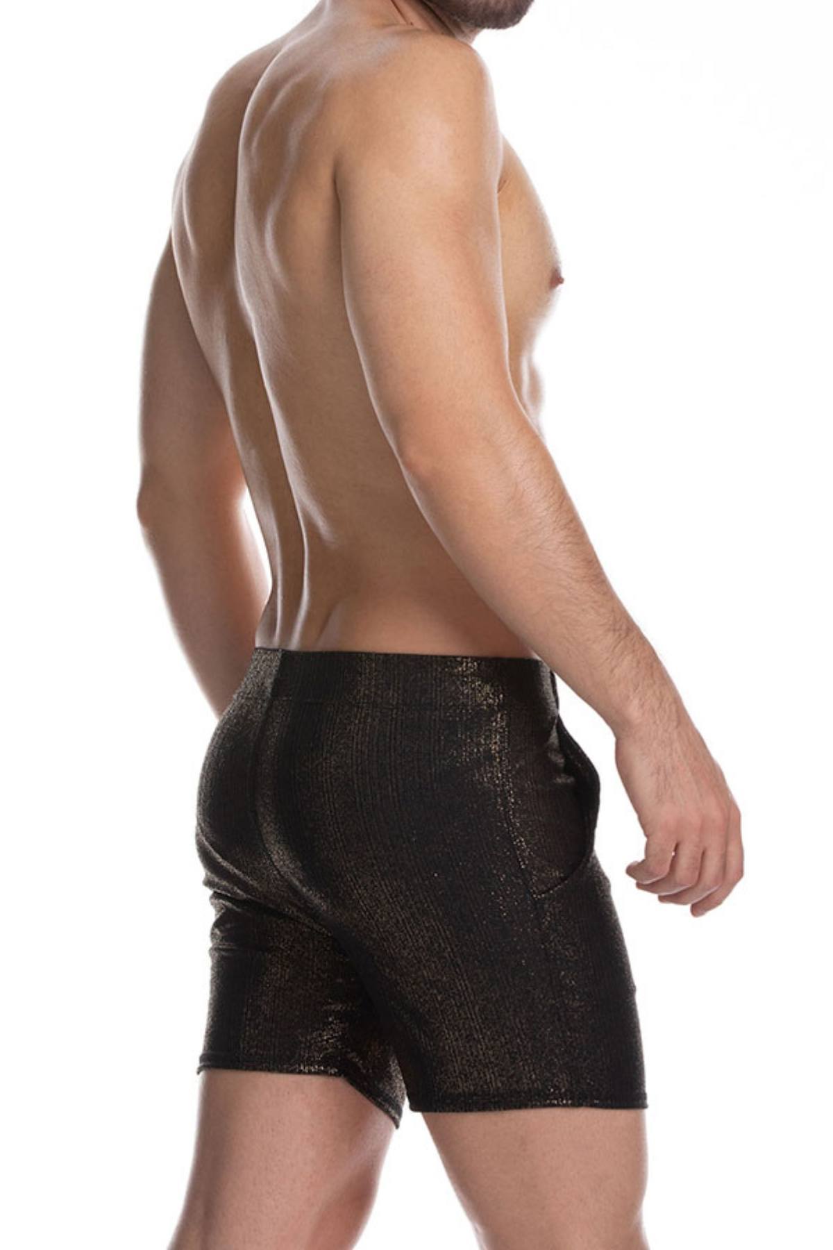 Gigo Black Sheer Shorts