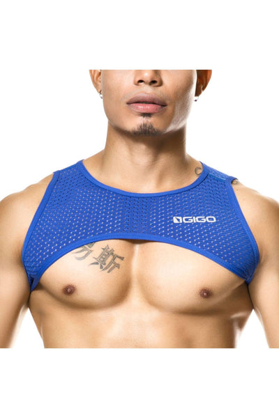 Gigo Blue Harness