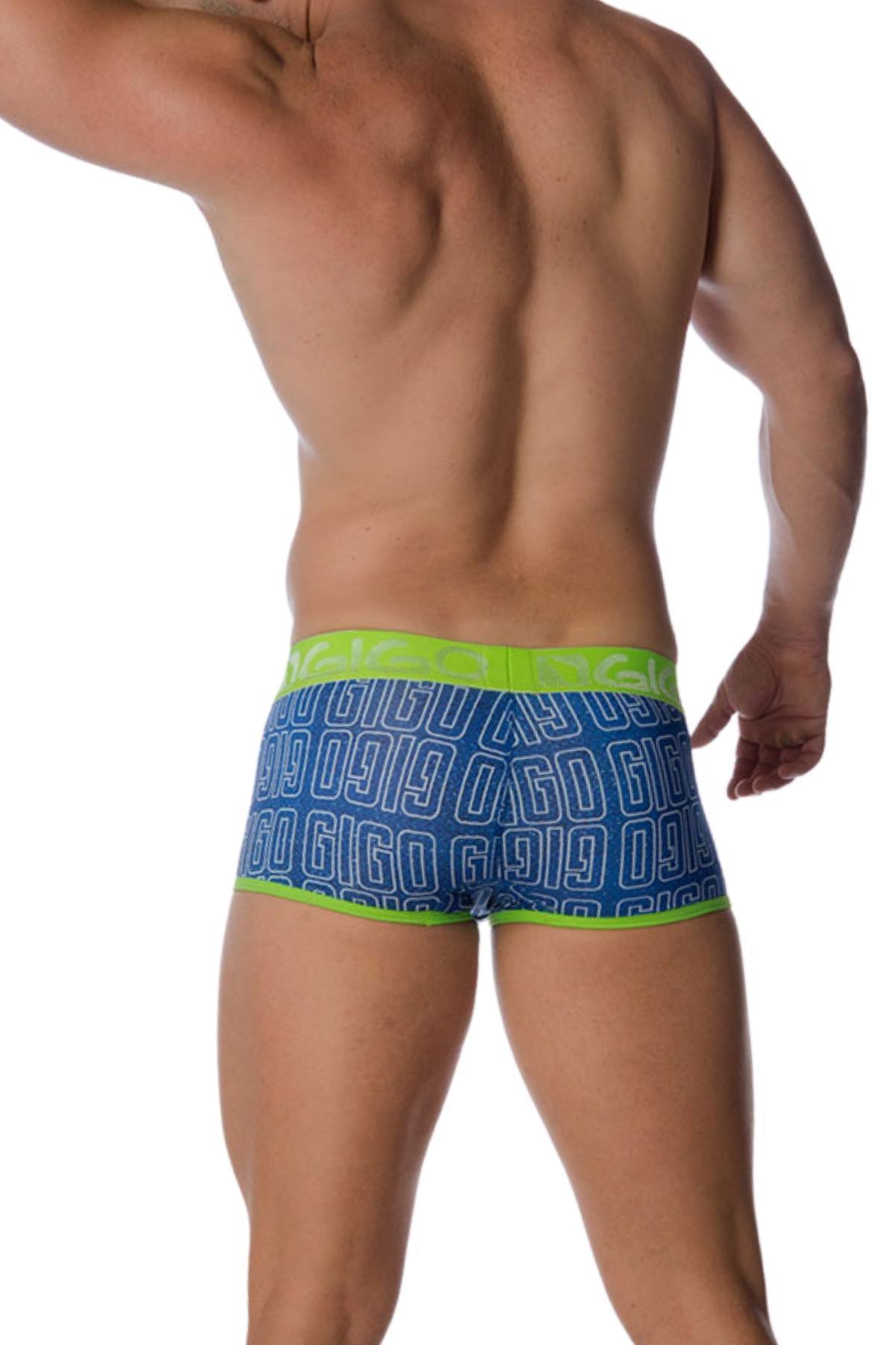 Gigo Blue Logo Trunk