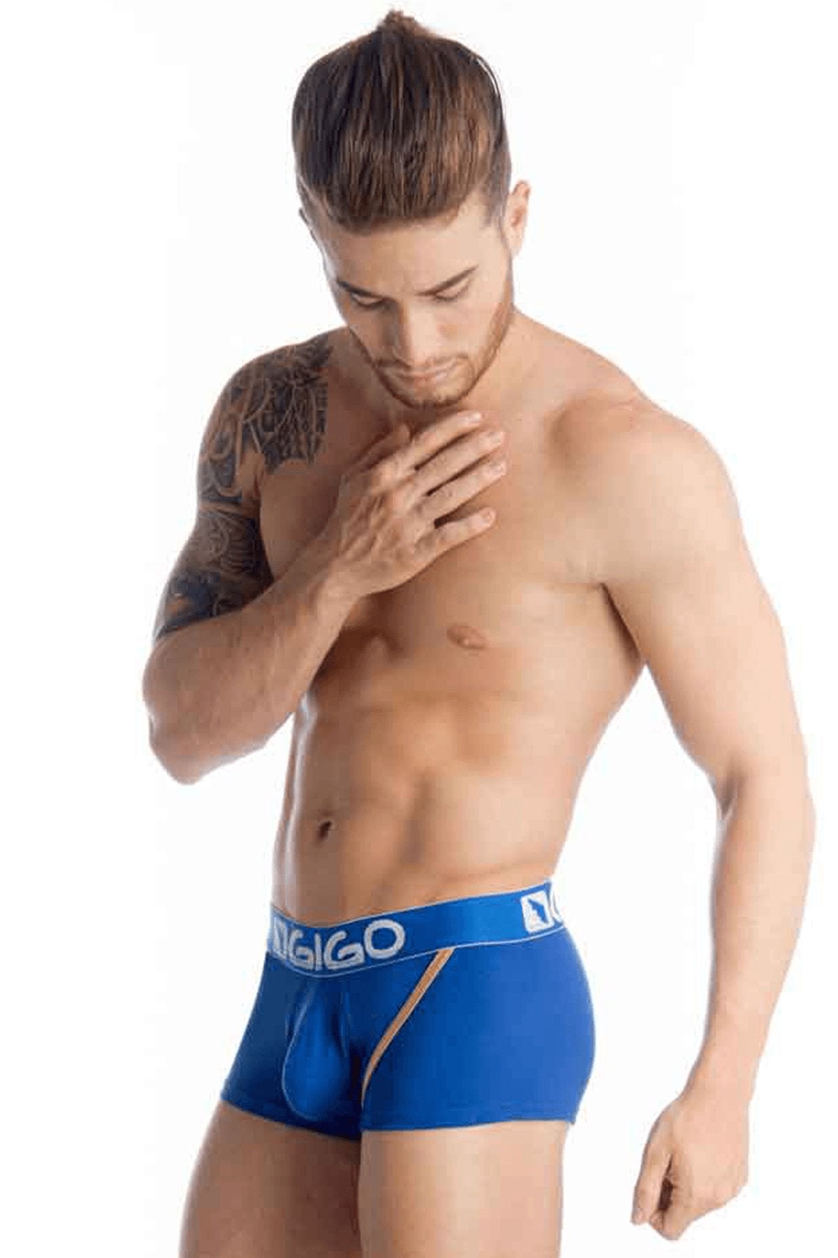 Gigo Blue Mariage Trunk