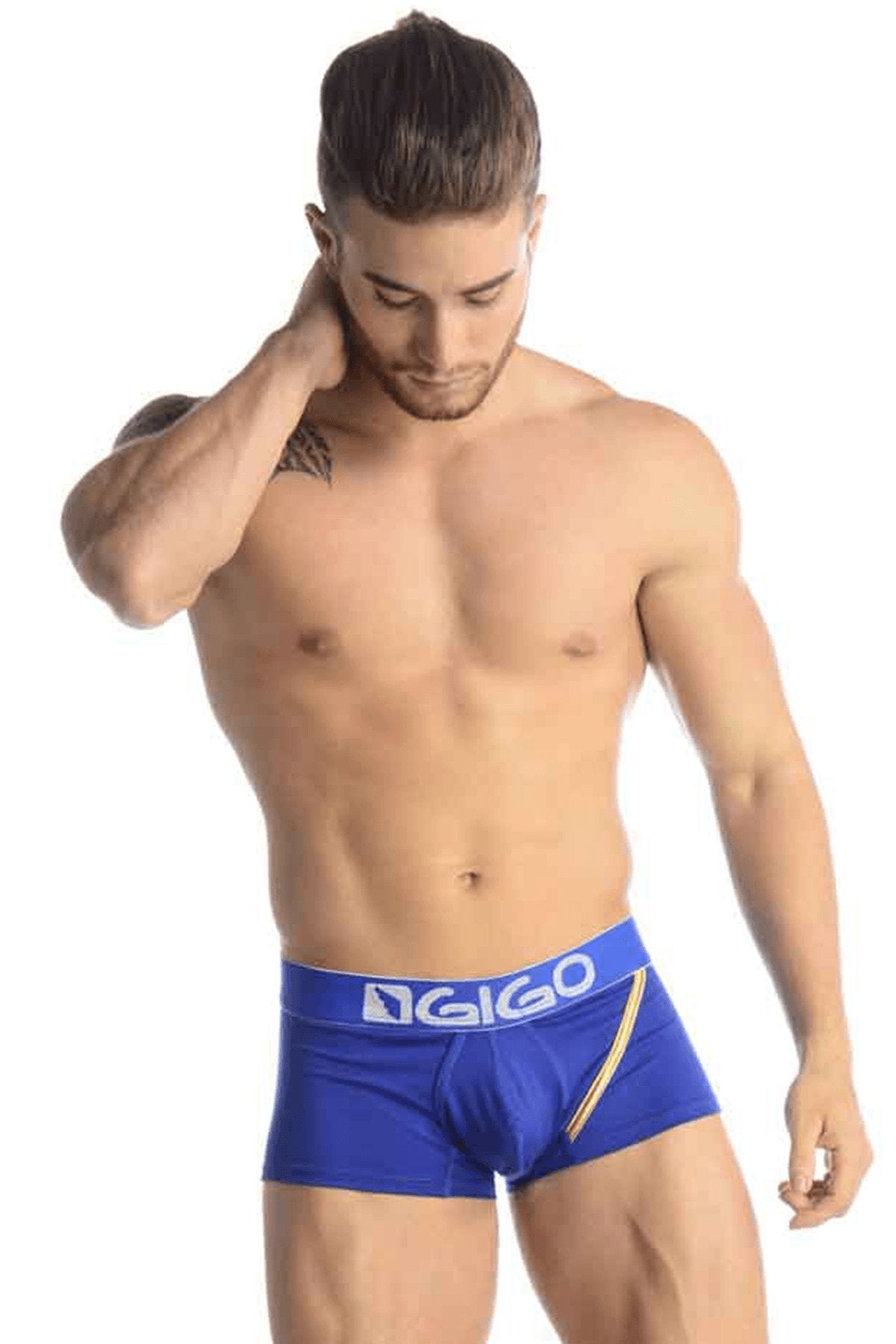 Gigo Blue Mariage Trunk