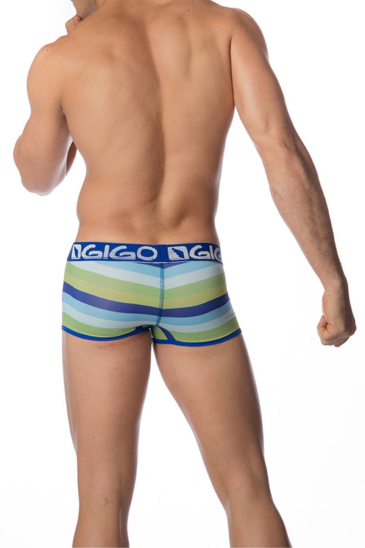 Gigo Blue Marine Trunk