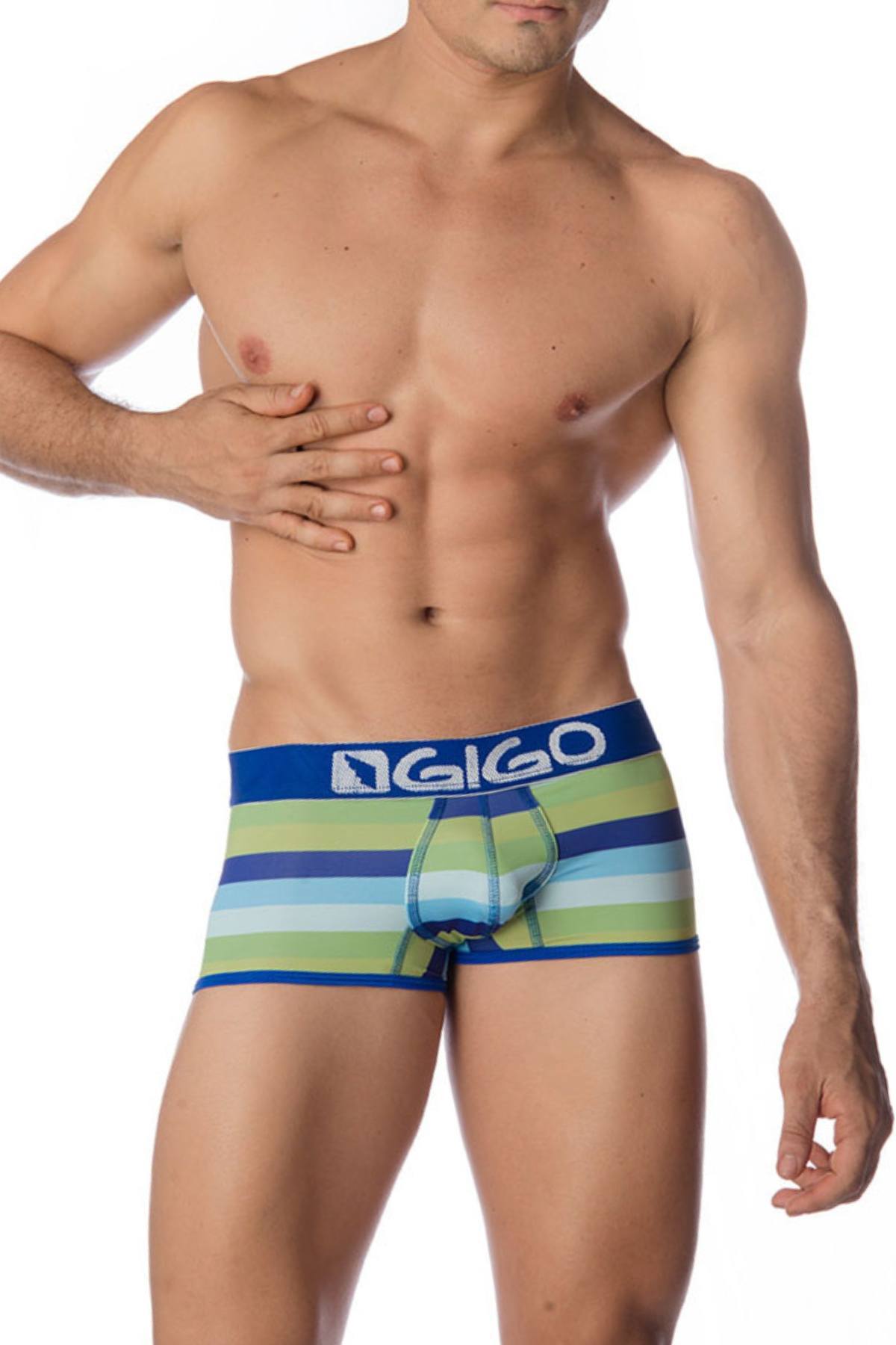 Gigo Blue Marine Trunk