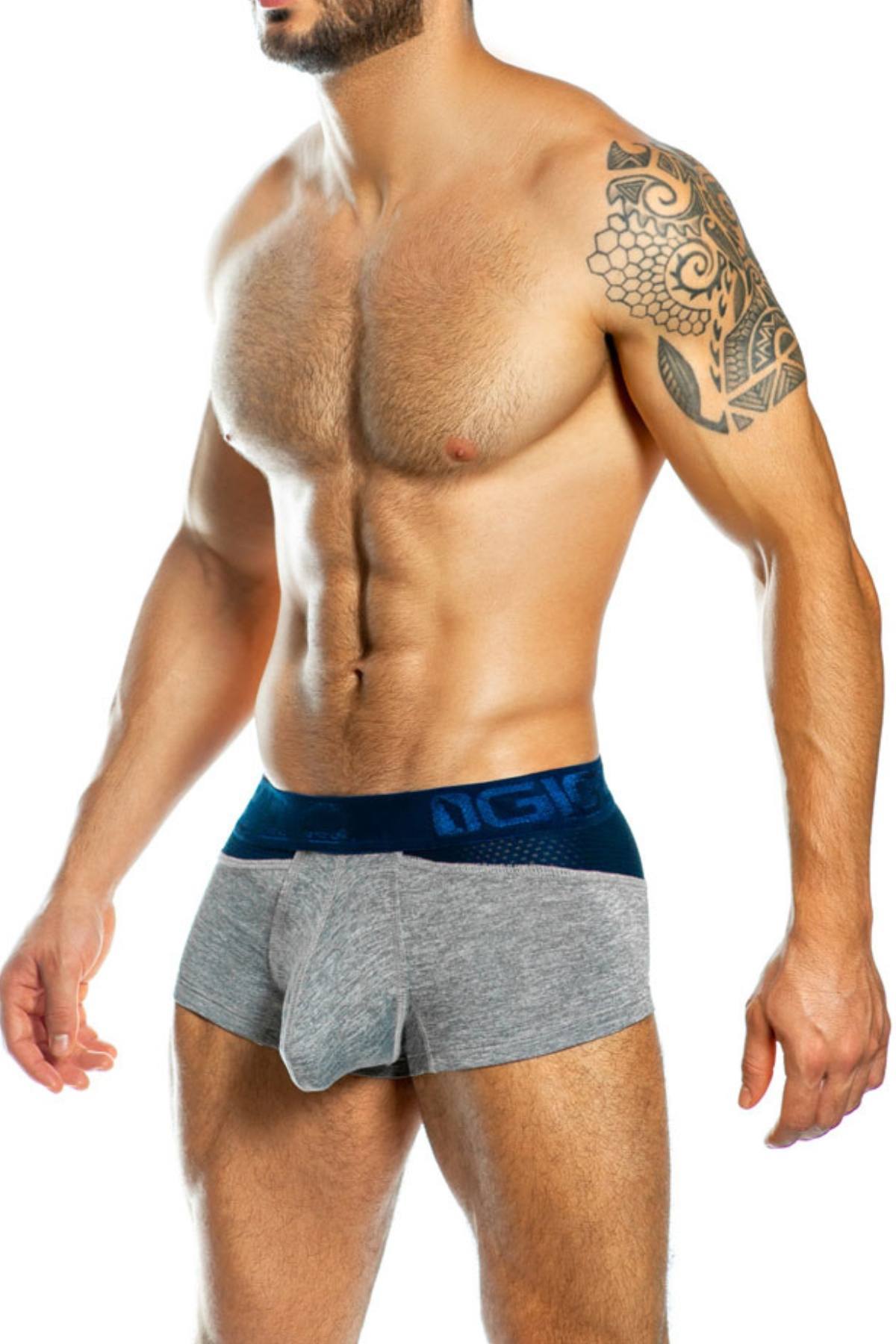 Gigo Grey Combnet Trunk