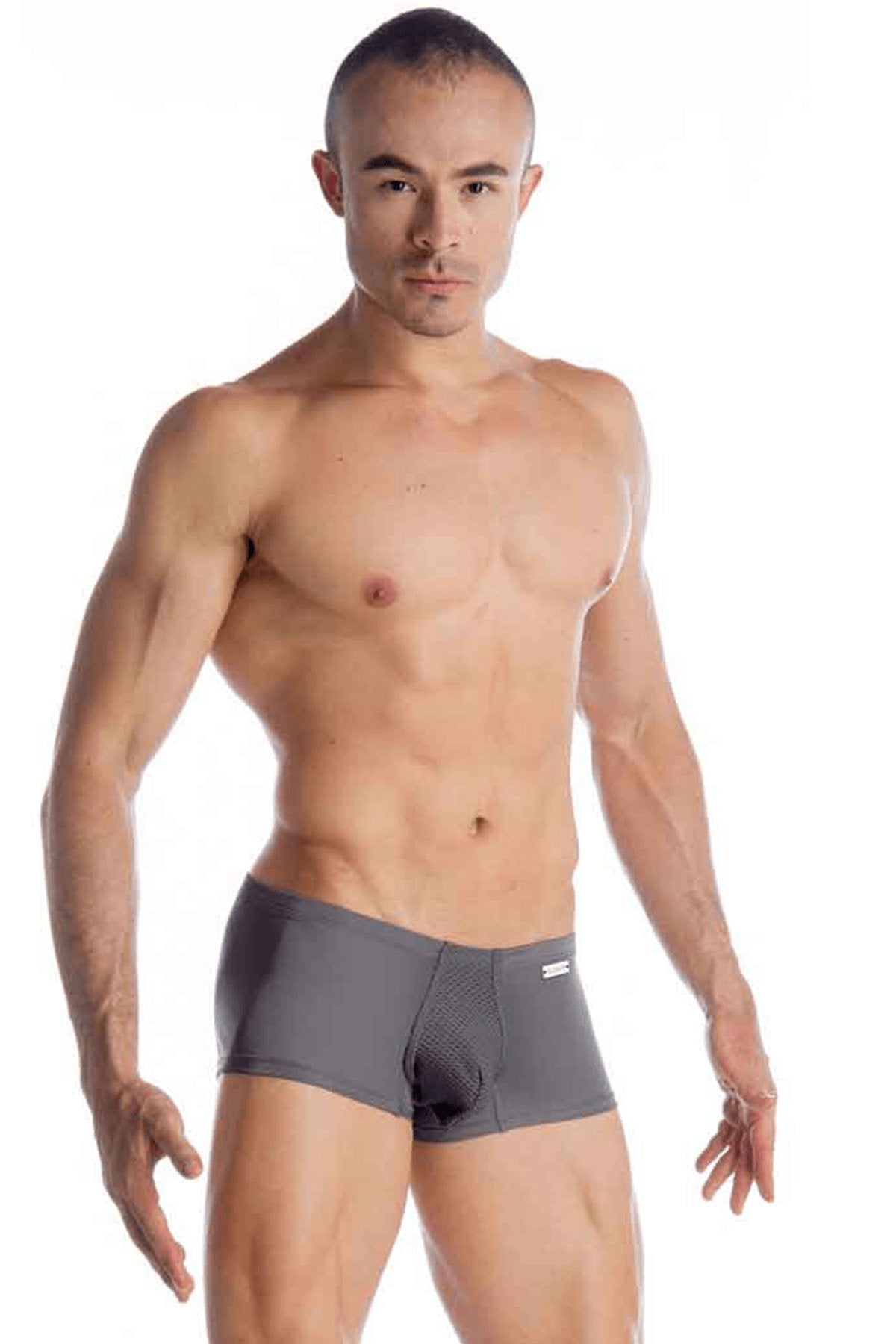 Gigo Grey Generation Trunk