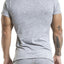 Gigo Grey Soft T-Shirt