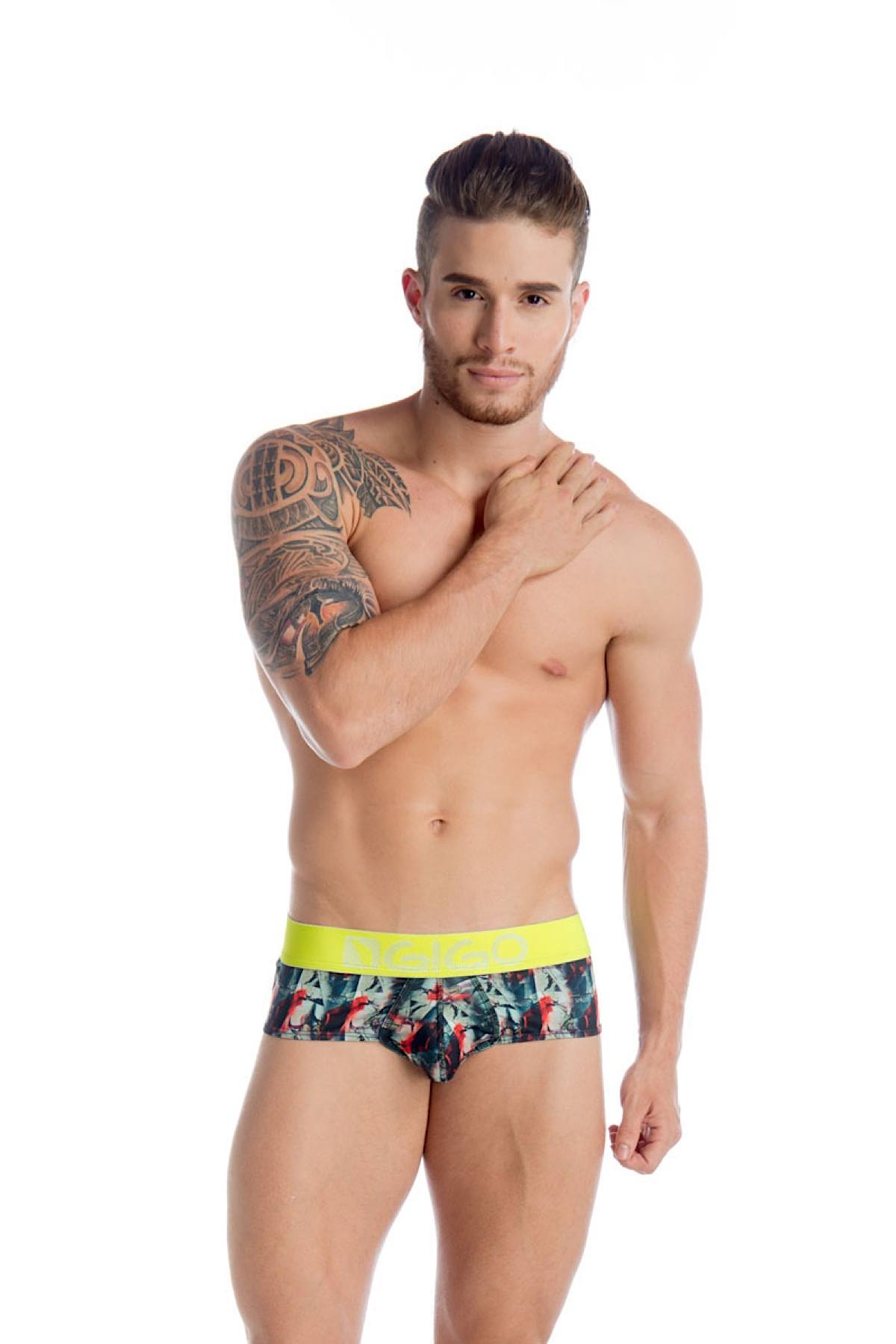 Gigo Jester Brief