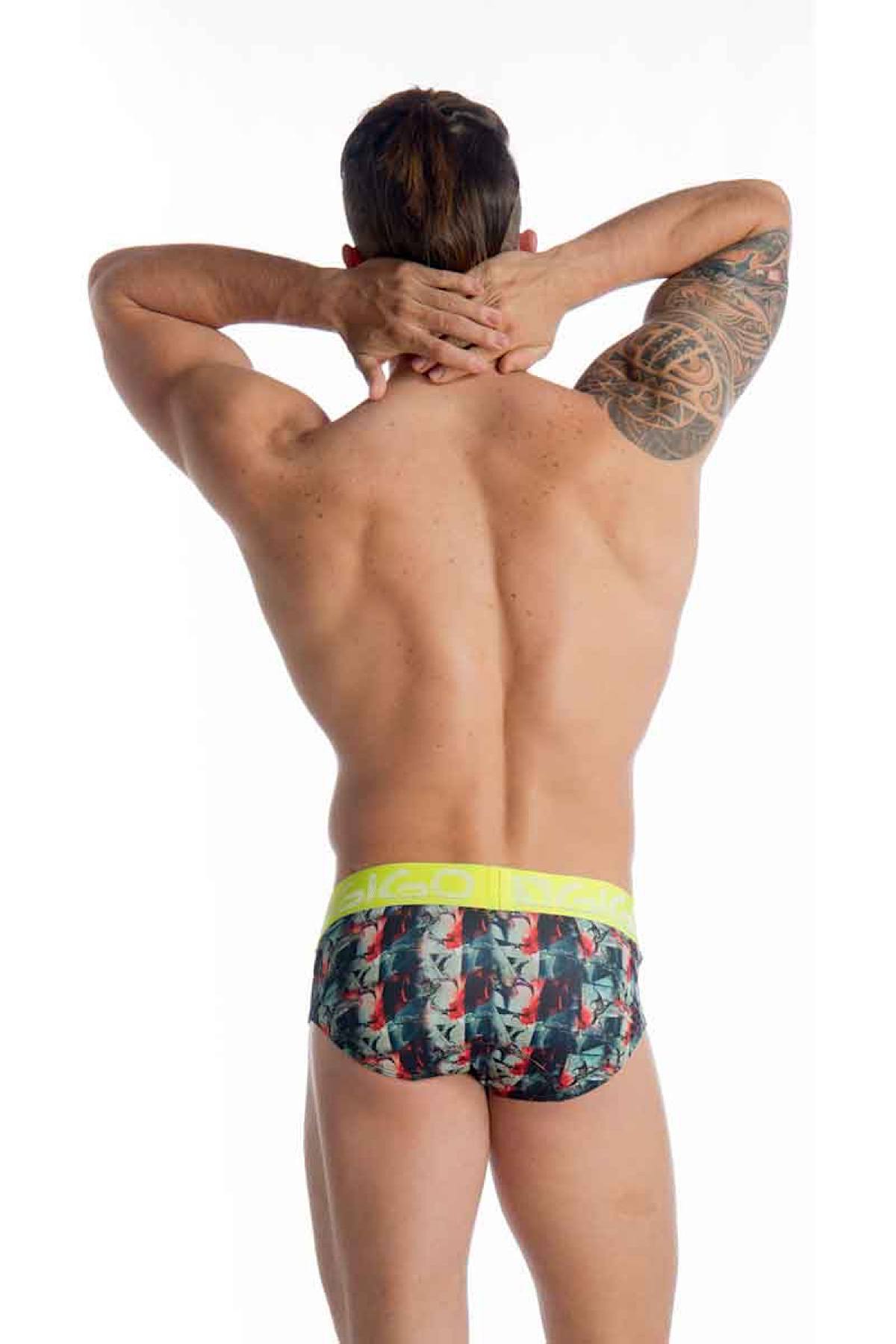 Gigo Jester Brief