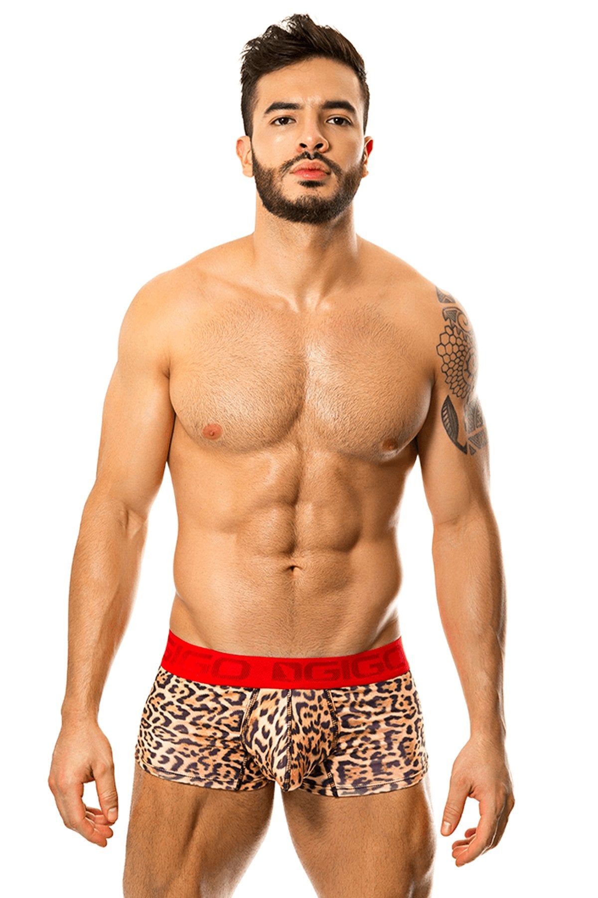 Gigo Leopard Feline Trunk