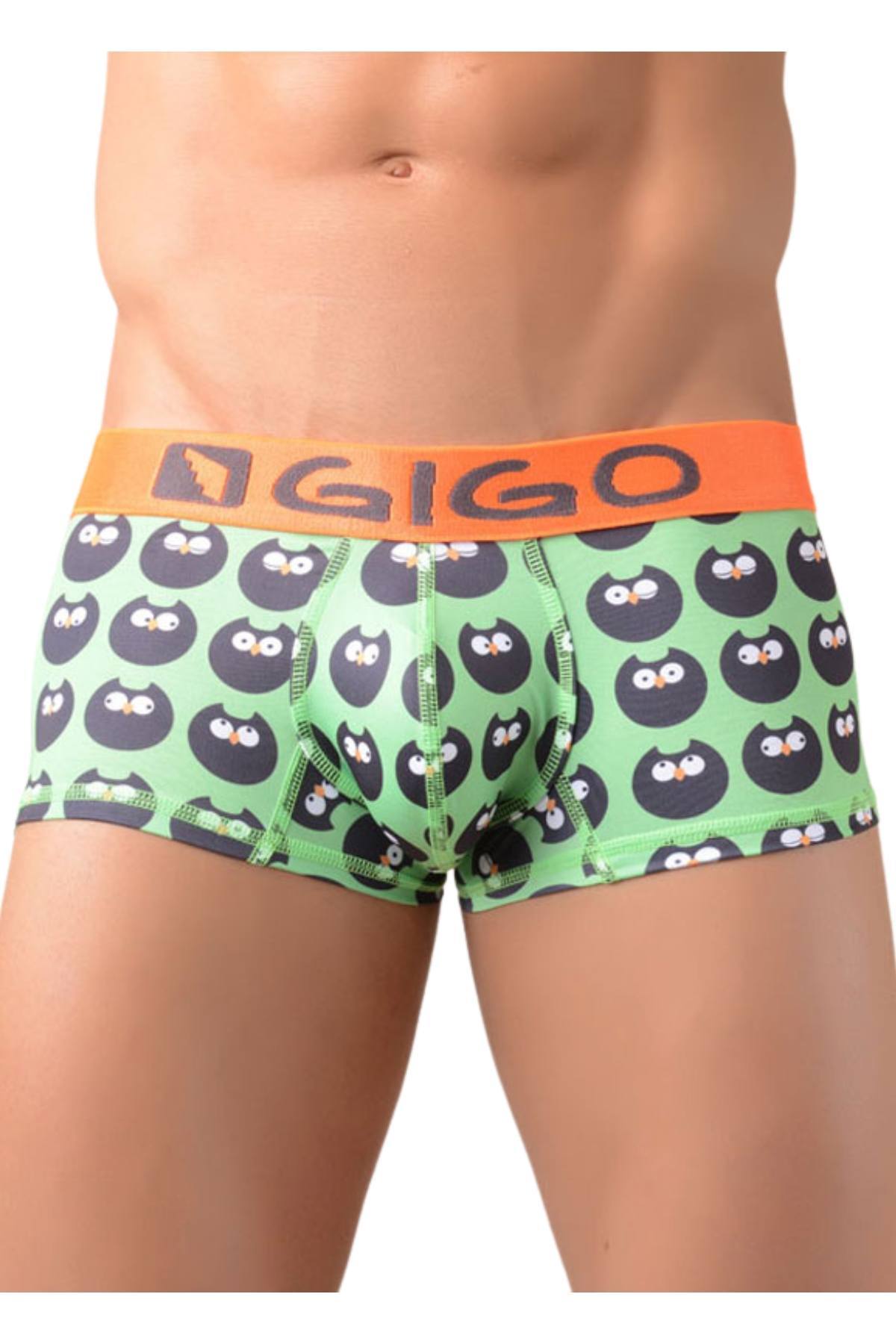 Gigo Owl Trunk