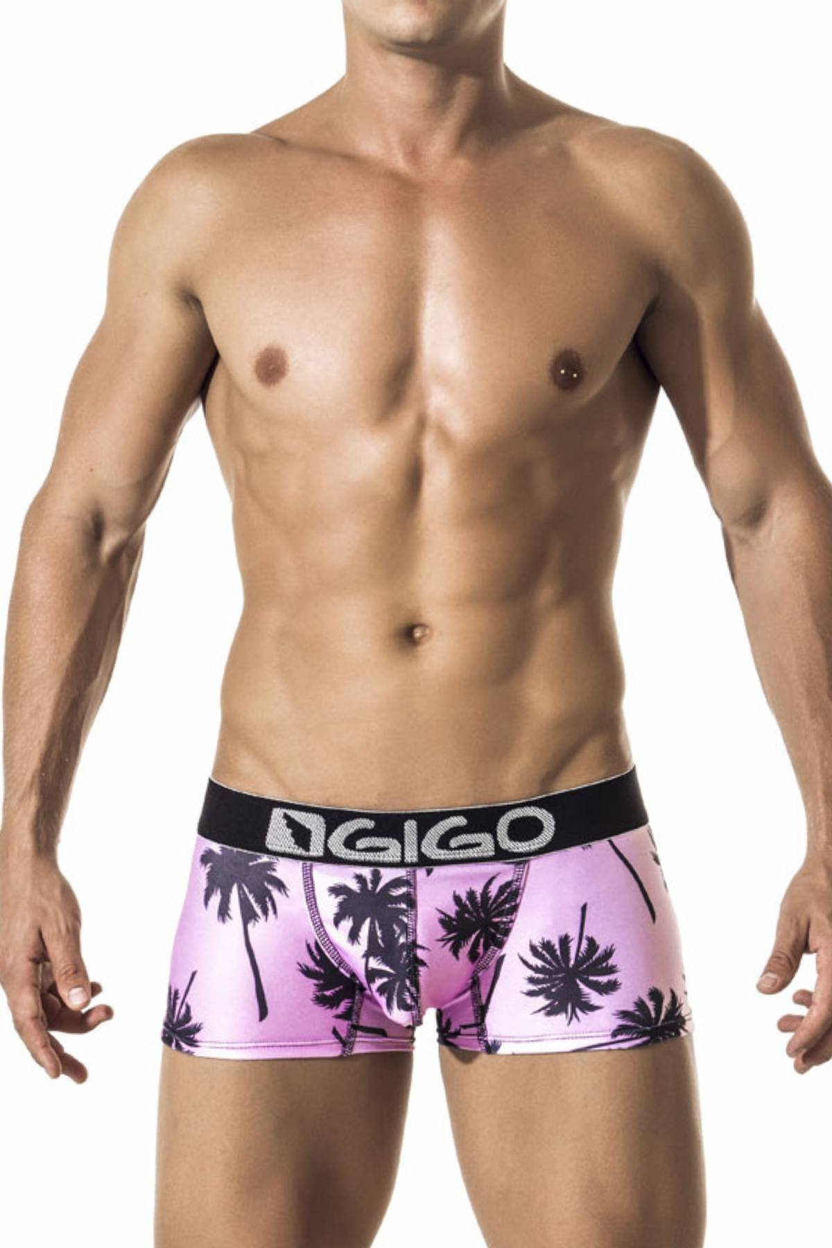 Gigo Pink Summer Trunk