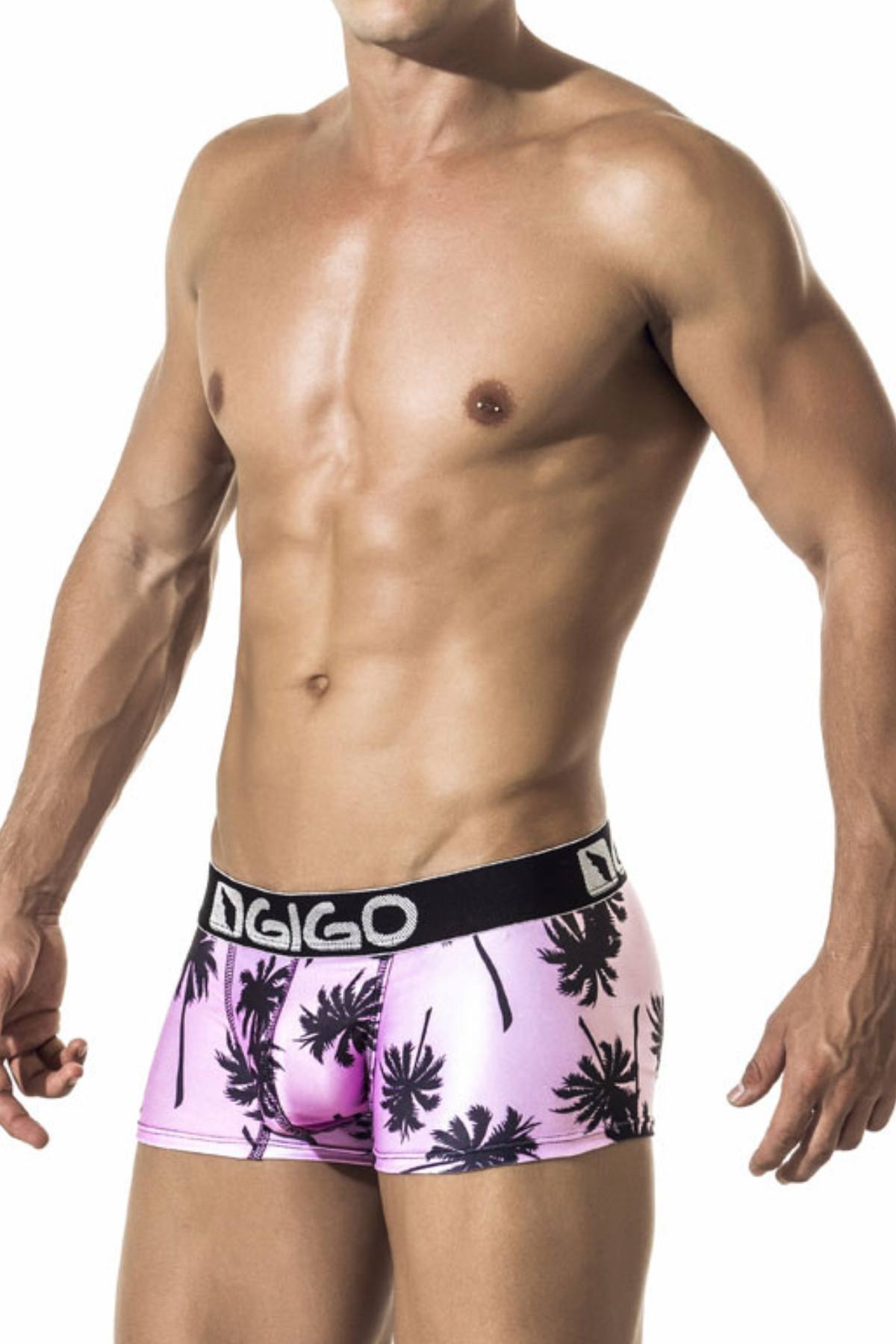 Gigo Pink Summer Trunk