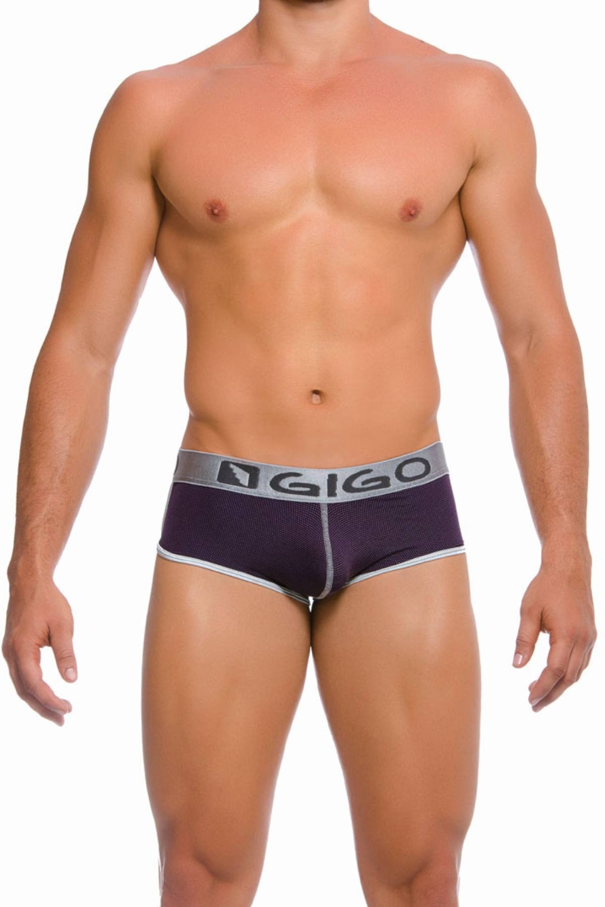 Gigo Purple Punt Trunk