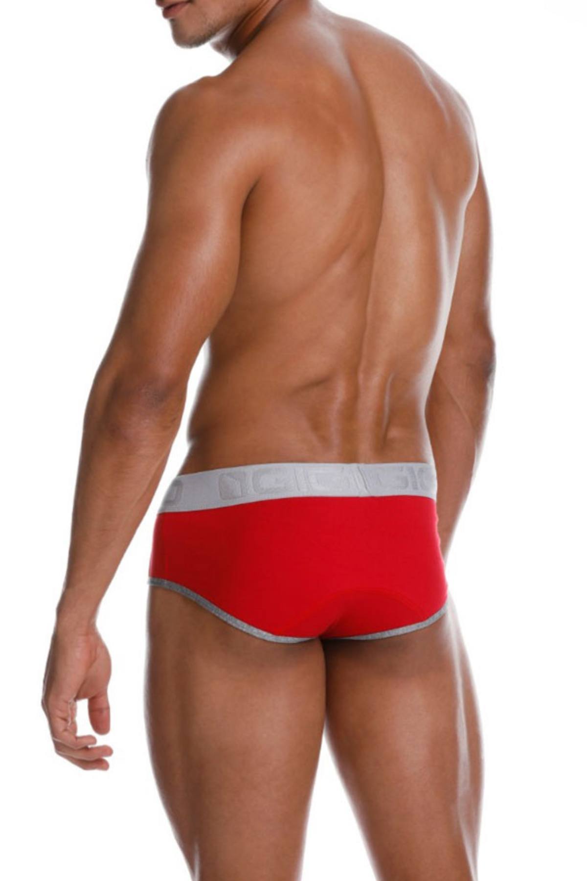 Gigo Red Cautious Brief