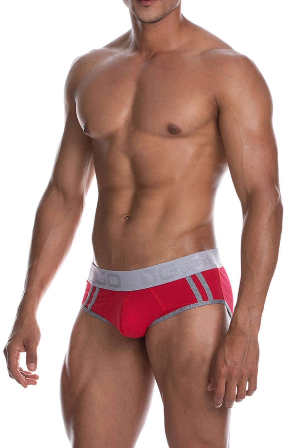 Gigo Red Cautious Brief