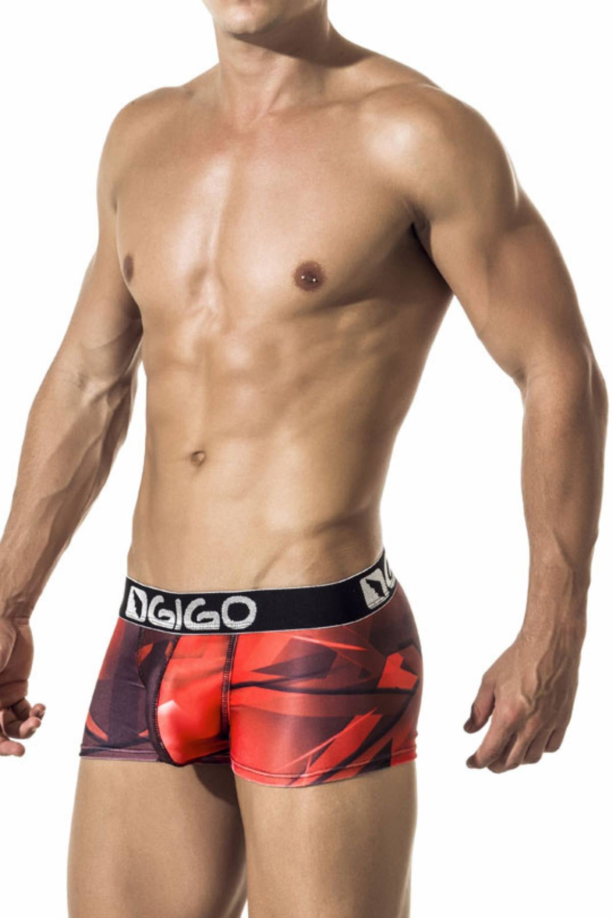 Gigo Red Fast Trunk