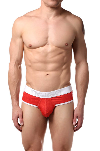 Gigo Red Racing Brief