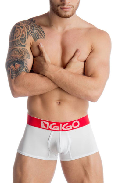 Gigo Red Trekking Trunk