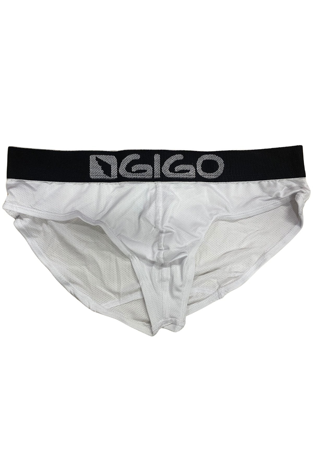 Gigo White Energy Brief