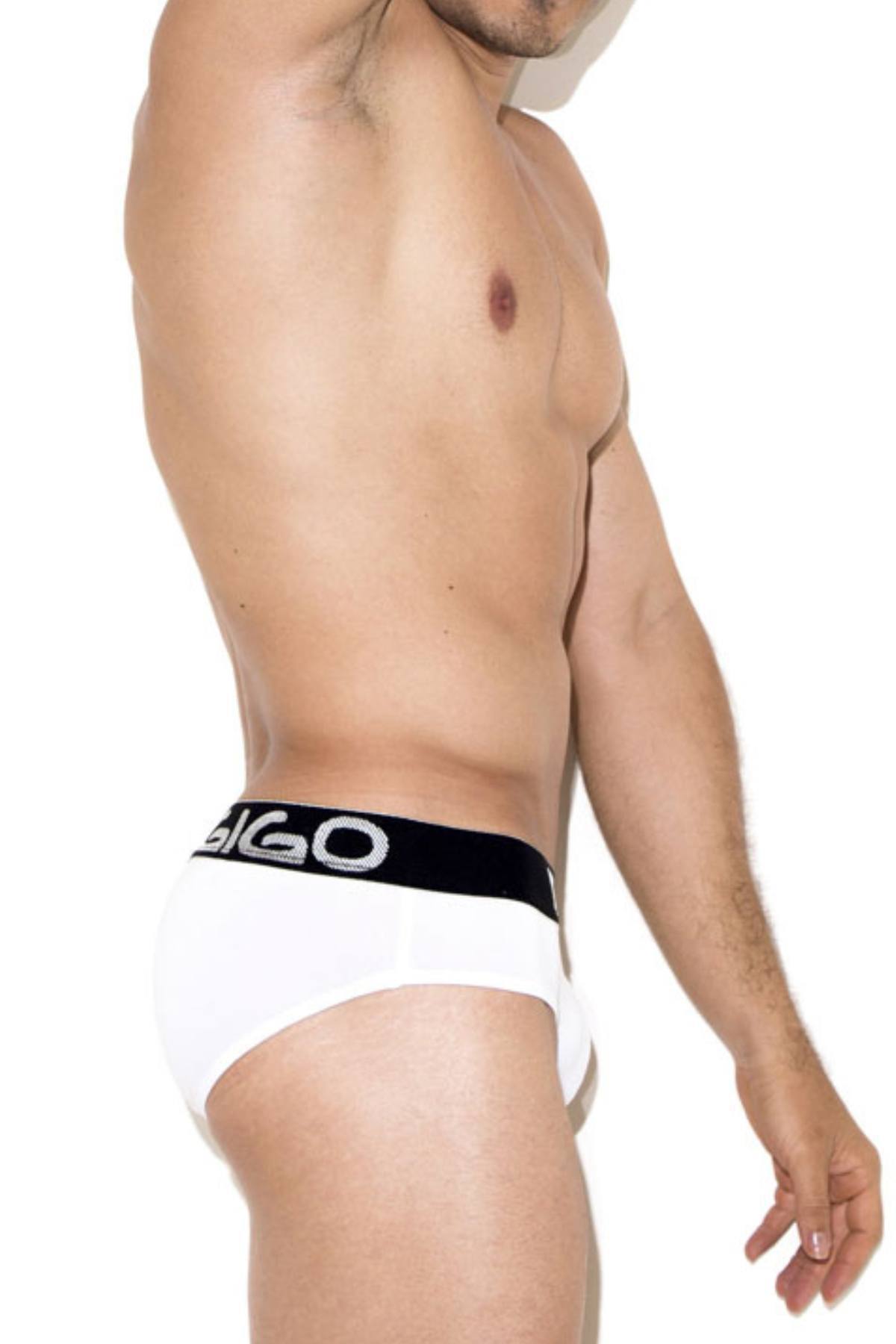 Gigo White Energy Brief